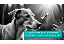 La Importancia de los Repelentes de Insectos para Nuestras Mascotas: Protección y Bienestar La Importancia de los Repelentes de Insectos para Nuestras Mascotas: Protección y Bienestar