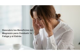 Descubre los Beneficios del Magnesio para Combatir la Fatiga y el Estrés Descubre los Beneficios del Magnesio para Combatir la Fatiga y el Estrés